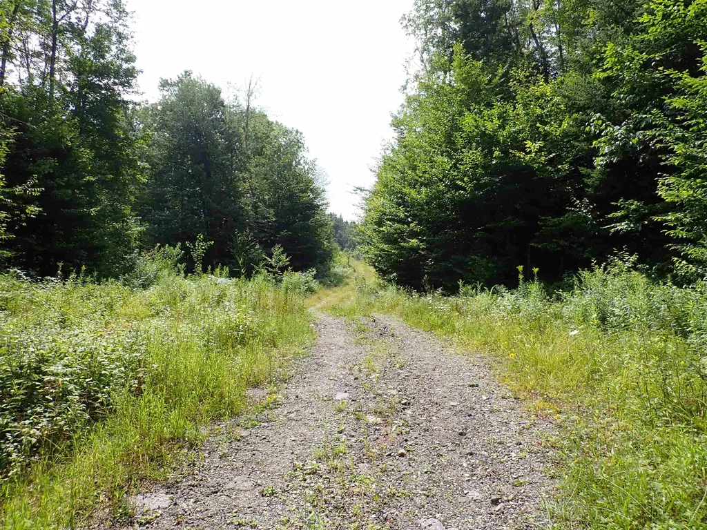 0 Bog Road Belvidere VT 05442