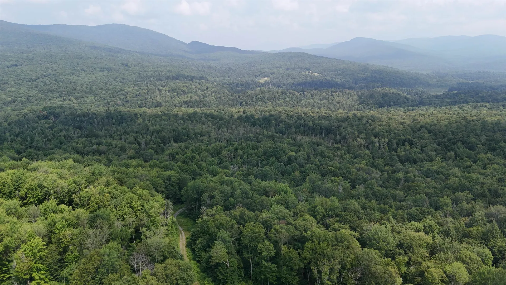 0 Bog Road Belvidere VT 05442