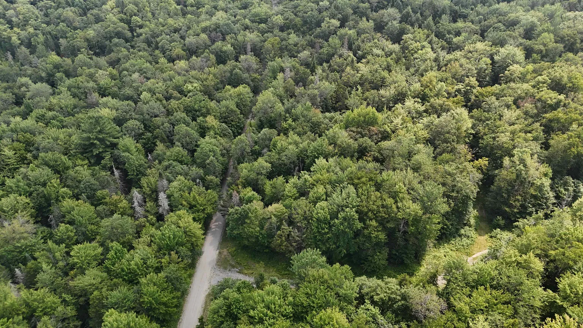 0 Bog Road Belvidere VT 05442