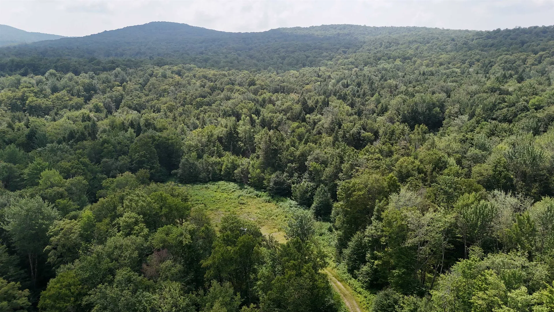 0 Bog Road Belvidere VT 05442