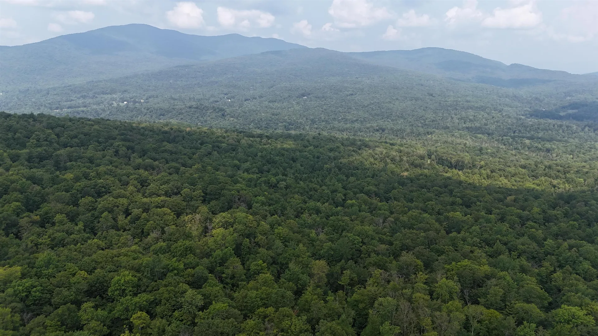 0 Bog Road Belvidere VT 05442