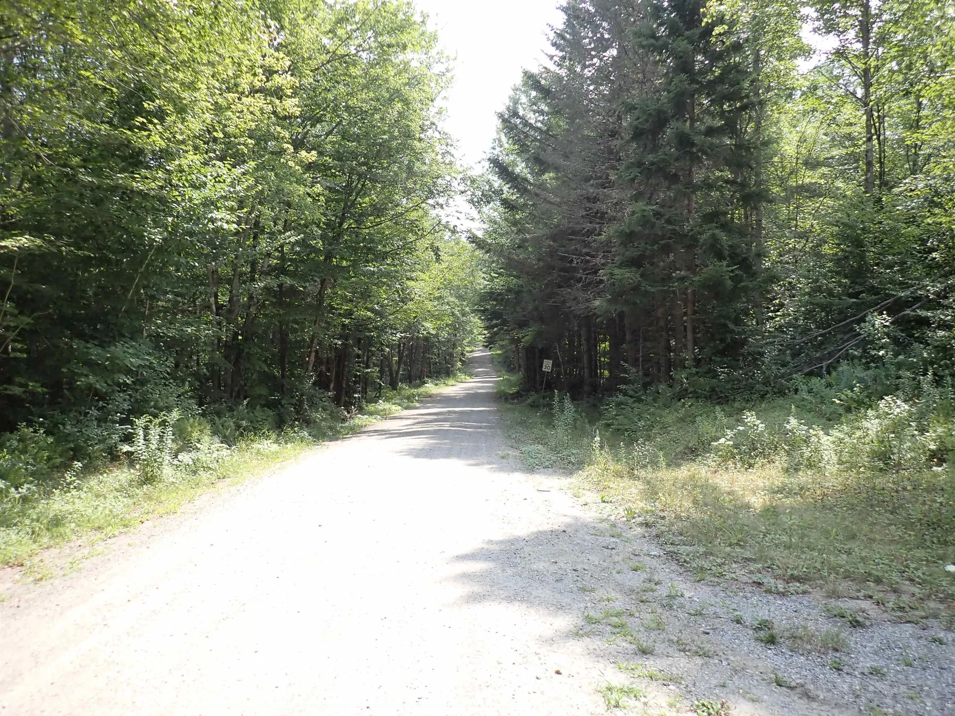 0 Bog Road Belvidere VT 05442