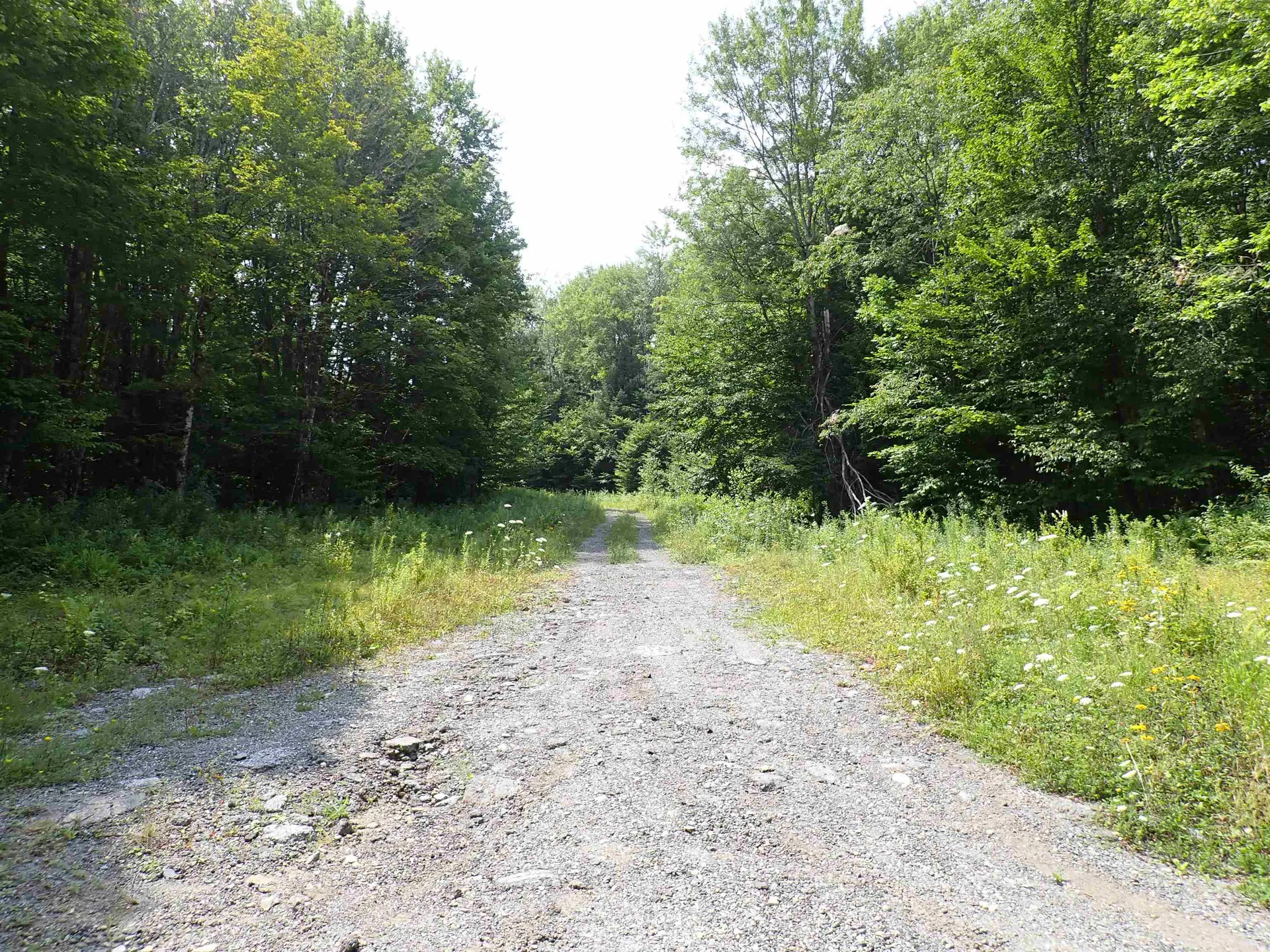0 Bog Road Belvidere VT 05442