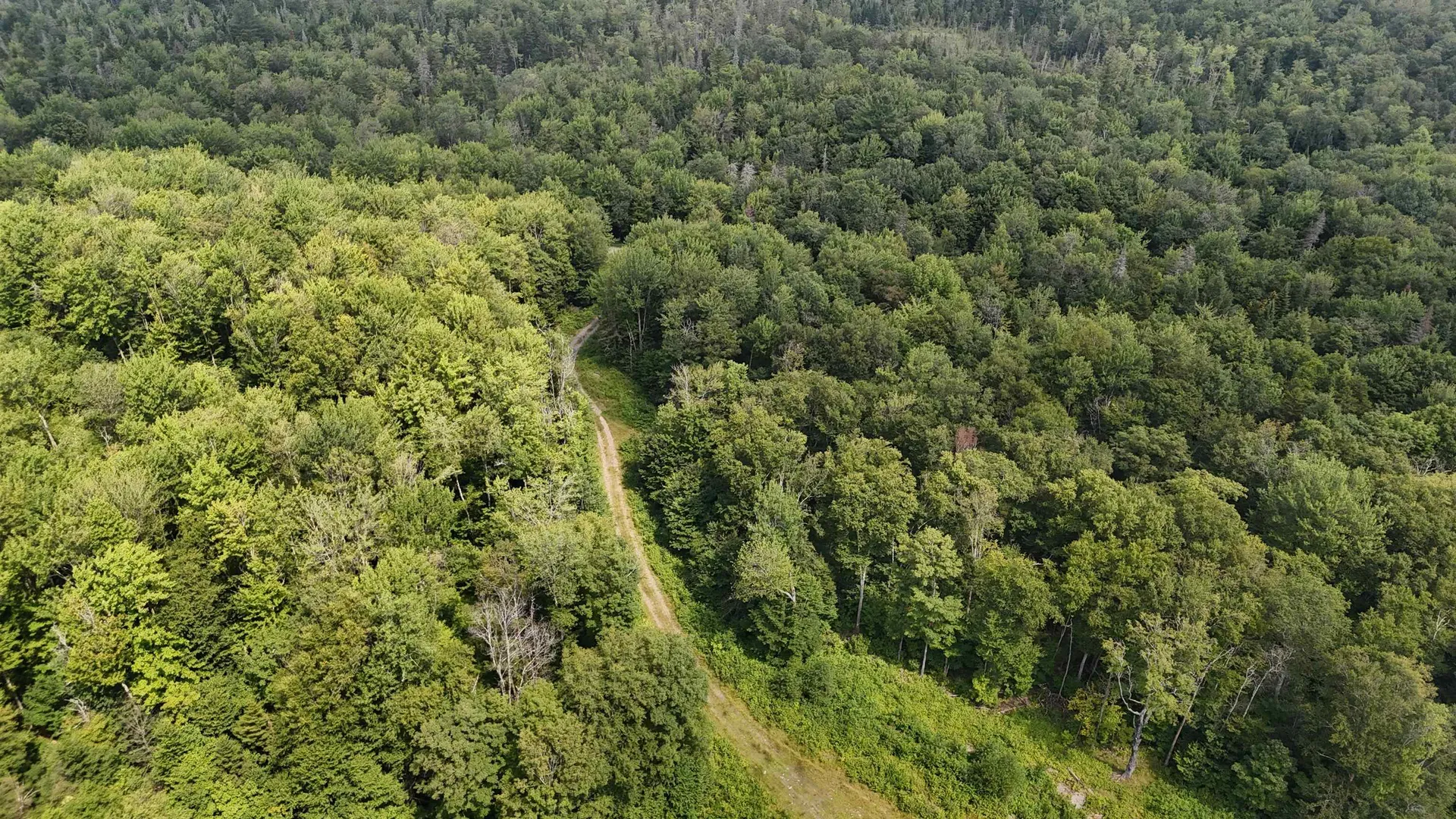 0 Bog Road Belvidere VT 05442