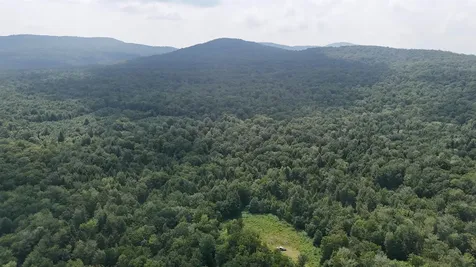 0 Bog Road Belvidere VT 05442