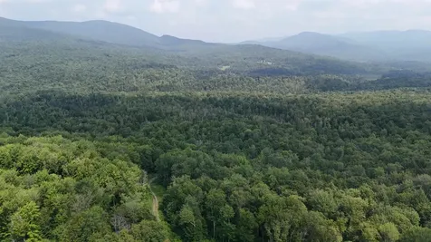0 Bog Road Belvidere VT 05442