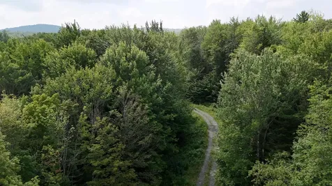 0 Bog Road Belvidere VT 05442