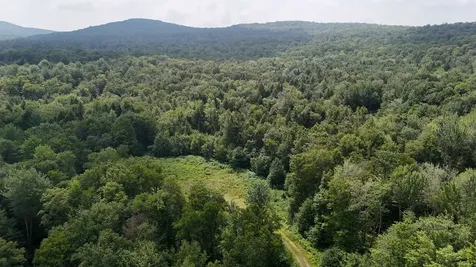 0 Bog Road Belvidere VT 05442