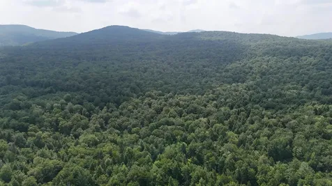 0 Bog Road Belvidere VT 05442