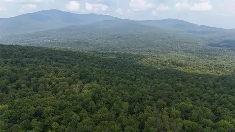 0 Bog Road Belvidere VT 05442