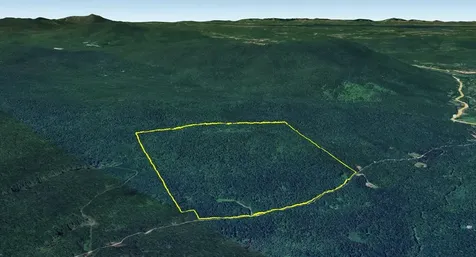 0 Bog Road Belvidere VT 05442