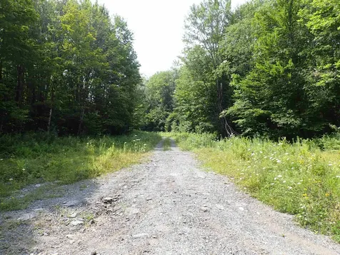 0 Bog Road Belvidere VT 05442
