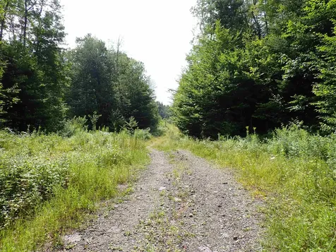 0 Bog Road Belvidere VT 05442