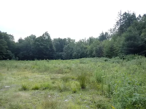 0 Bog Road Belvidere VT 05442