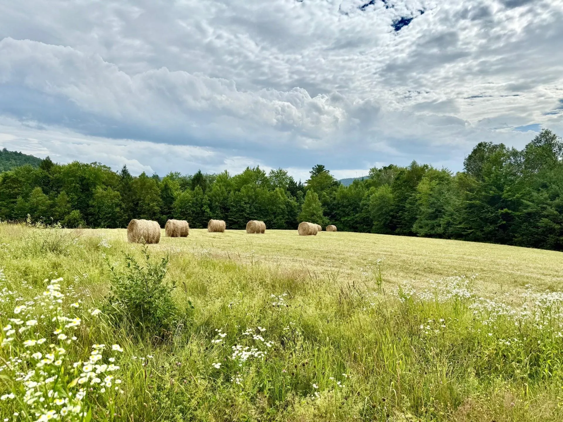 700 Glebe Road Westmoreland NH 03467