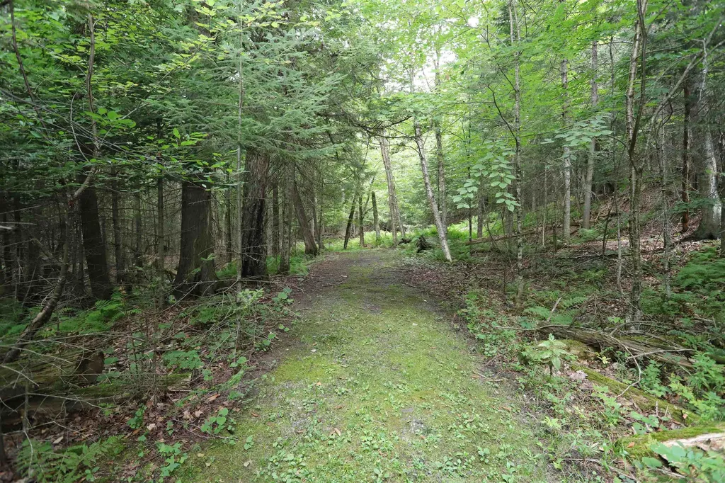 455 Settlers Way Derby VT 05829