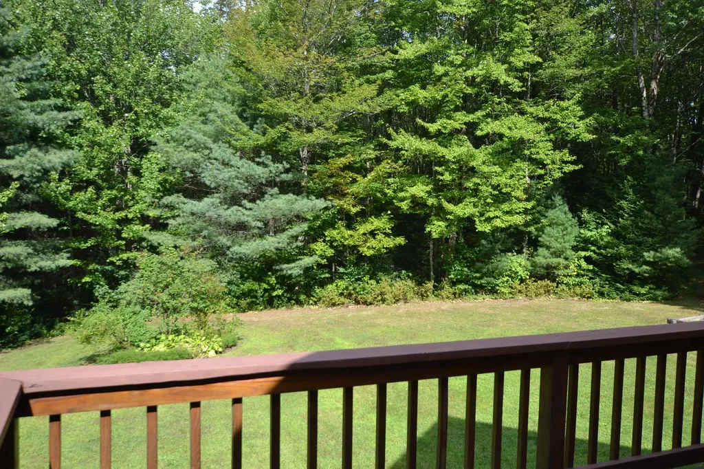 2446 Buck Hill Road Westfield VT 05874