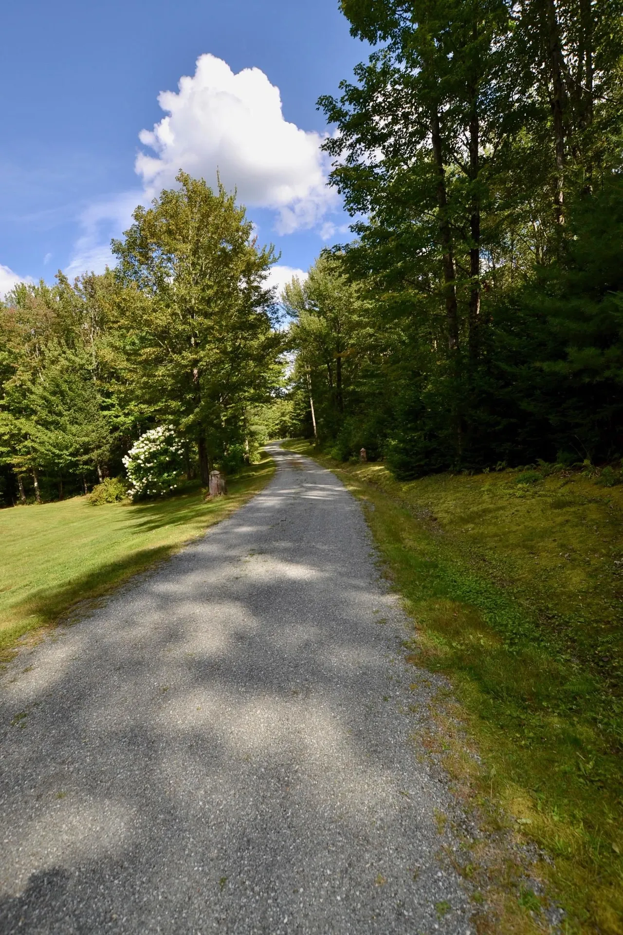2446 Buck Hill Road Westfield VT 05874