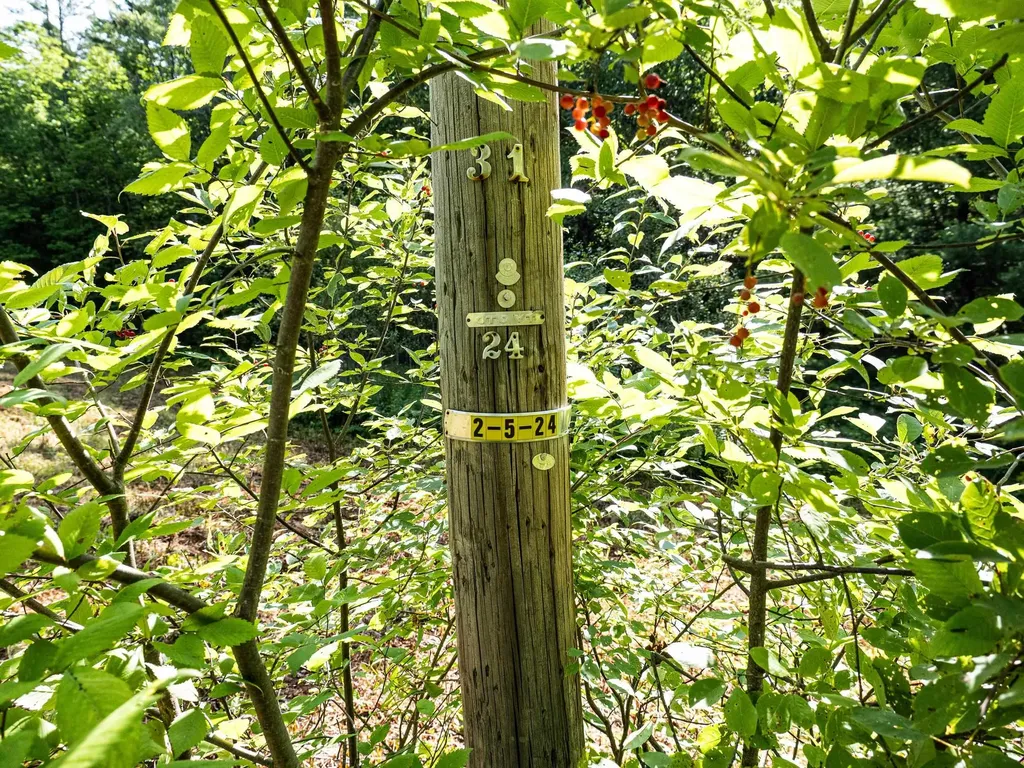 918 Lovers Lane Road Chester VT 05143