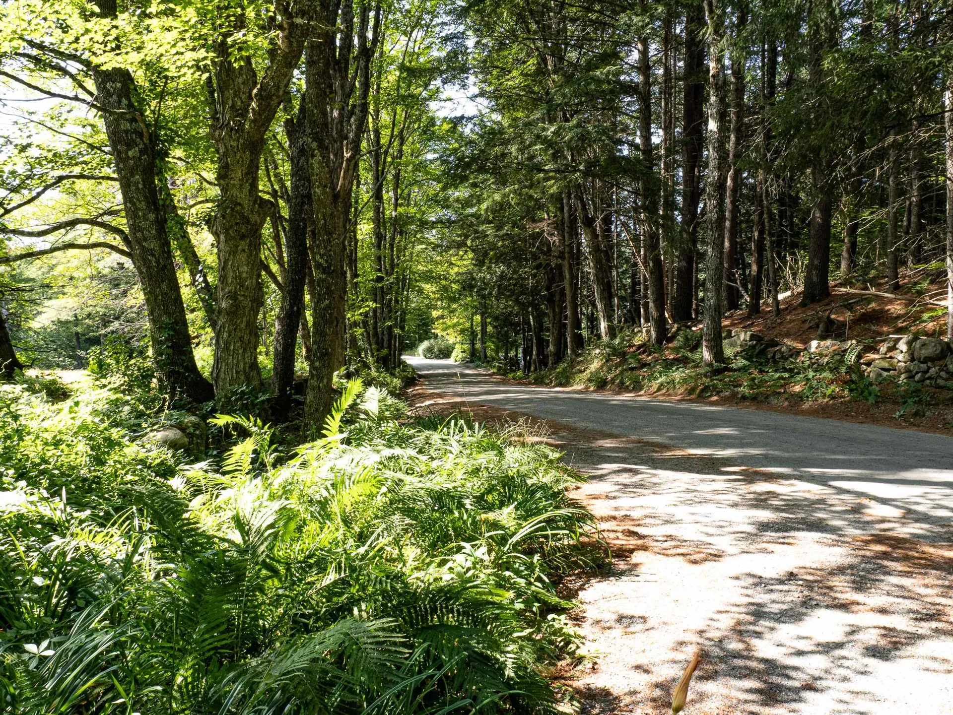 918 Lovers Lane Road Chester VT 05143