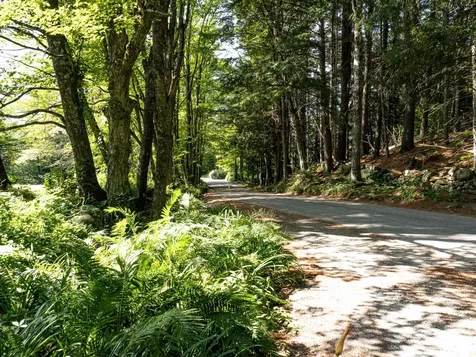 918 Lovers Lane Road Chester VT 05143