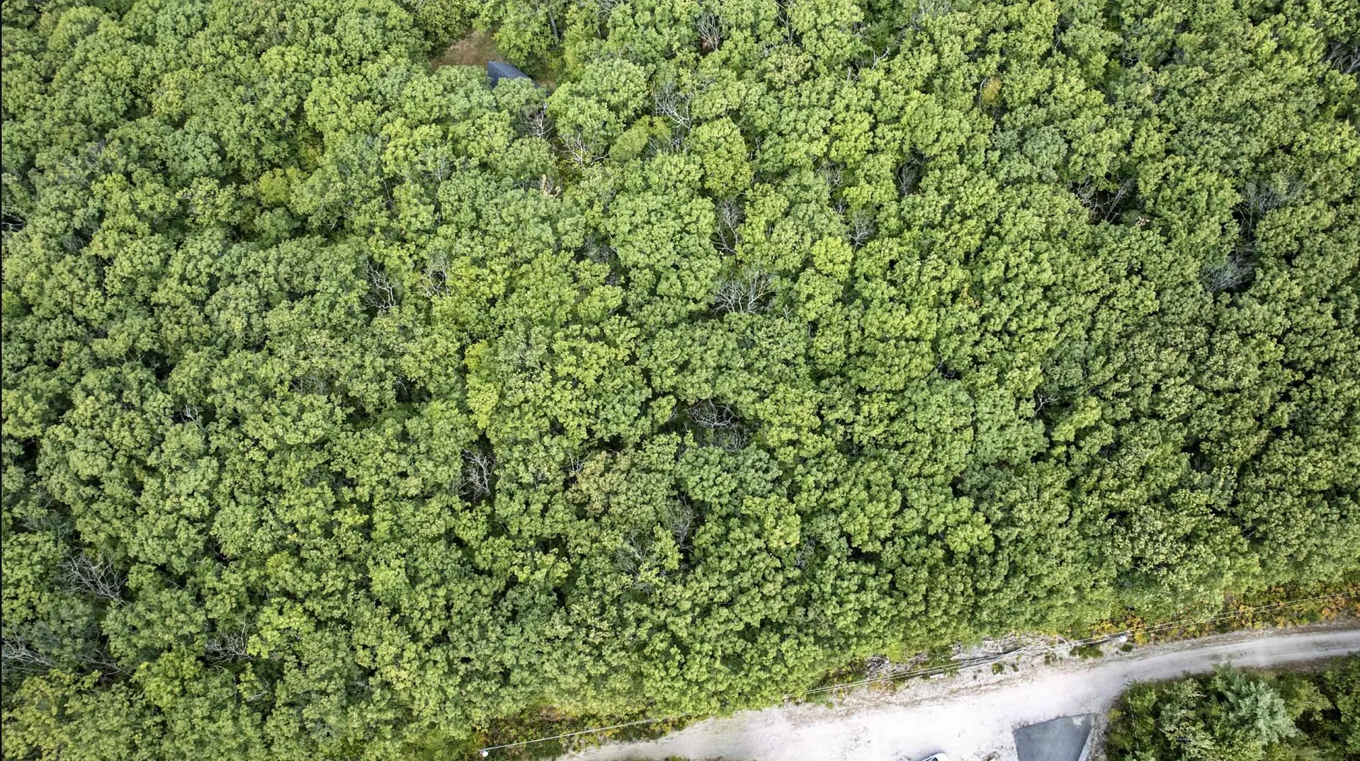 8 Grimsel Road Madison NH 03849