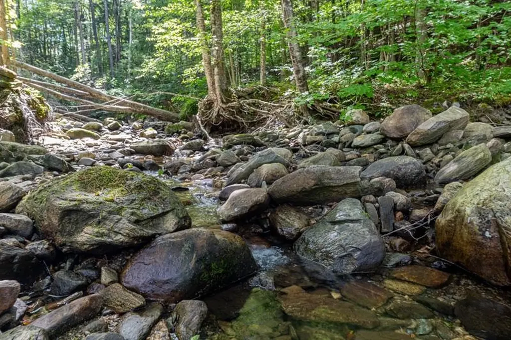 528 Vt Route 121 Windham VT 05148