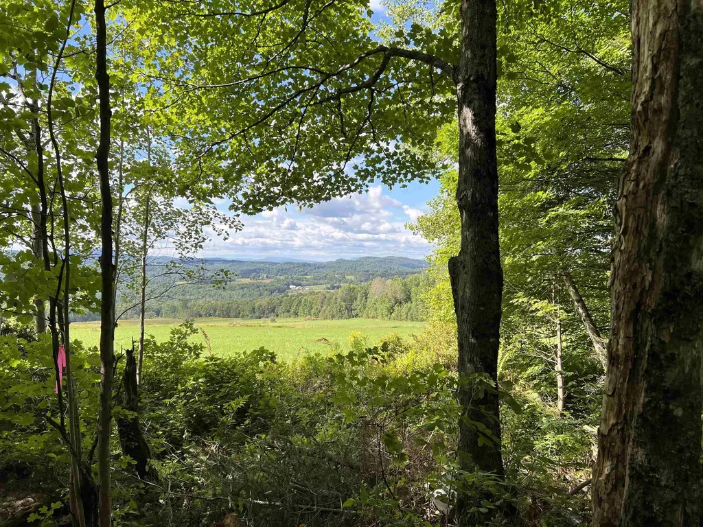 0 Danville Hill Road Cabot VT 05647