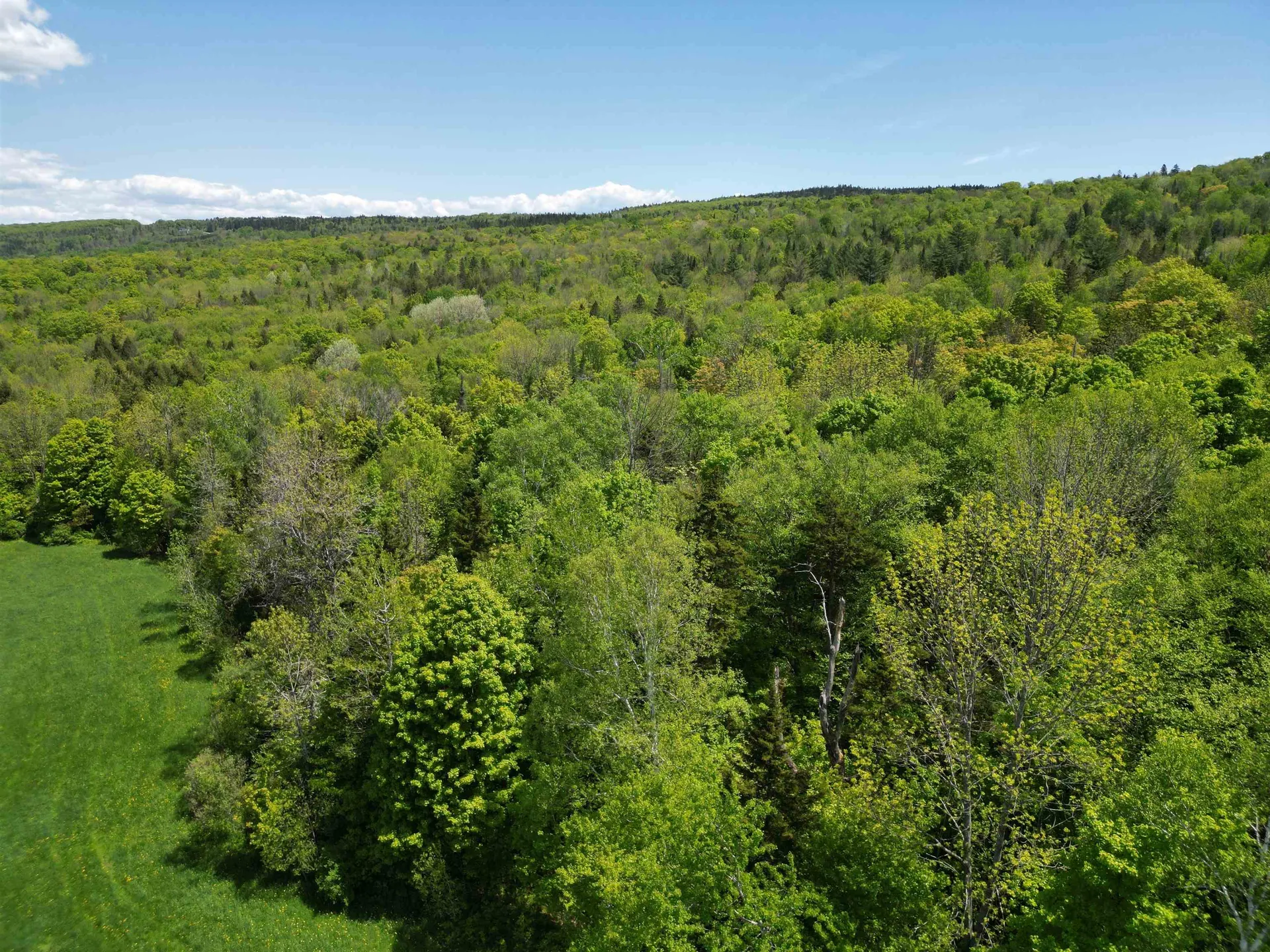 0 Danville Hill Road Cabot VT 05647