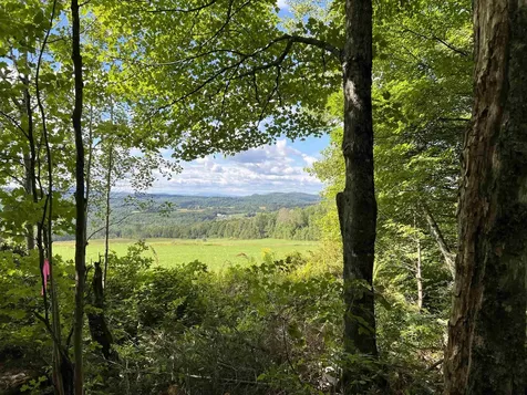 0 Danville Hill Road Cabot VT 05647