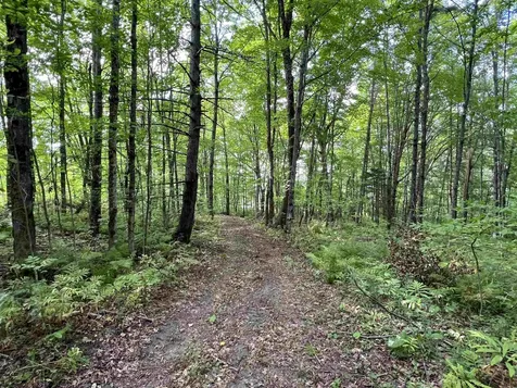 0 Danville Hill Road Cabot VT 05647