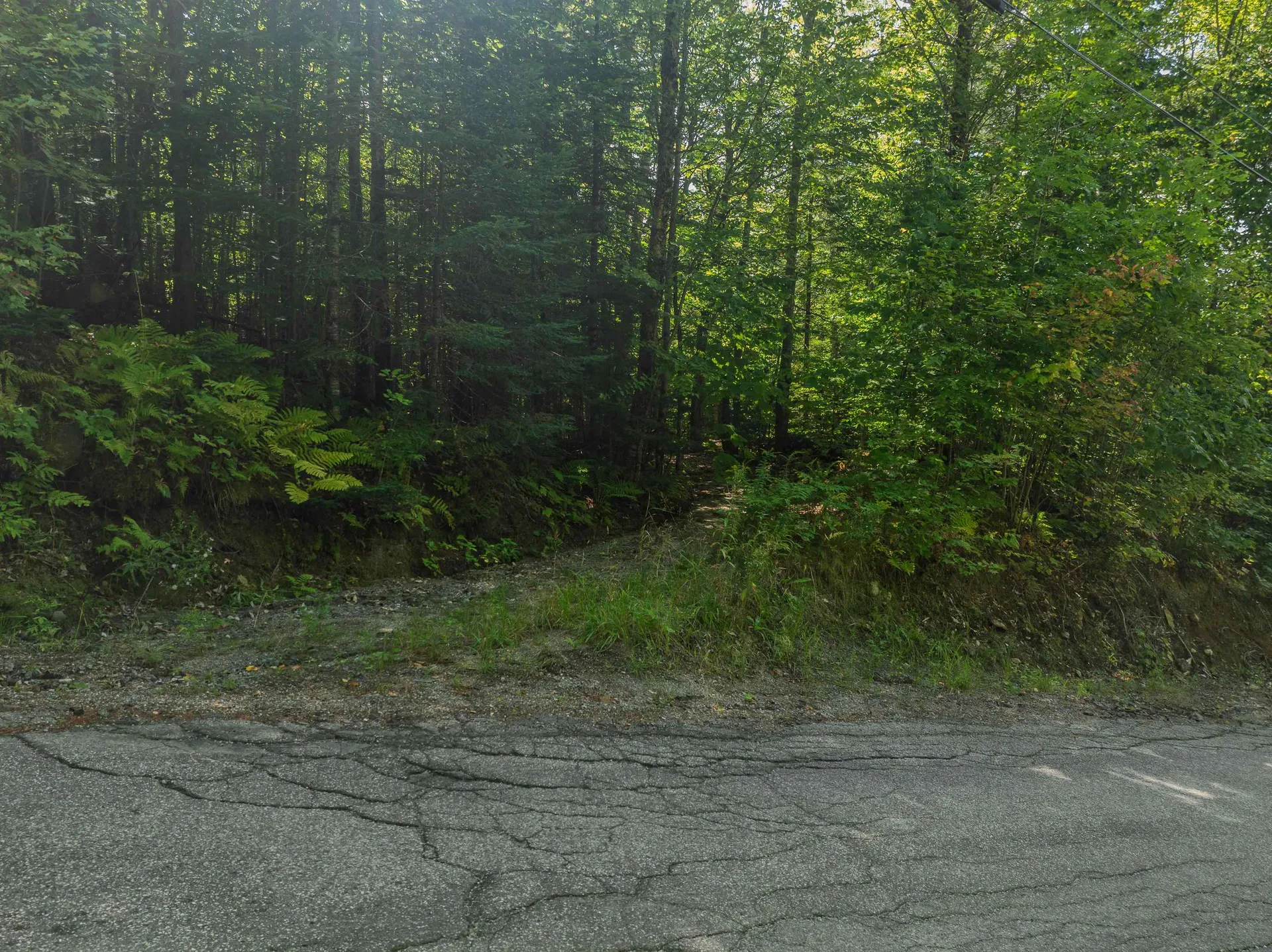 28 Gould Road Whitefield NH 03598