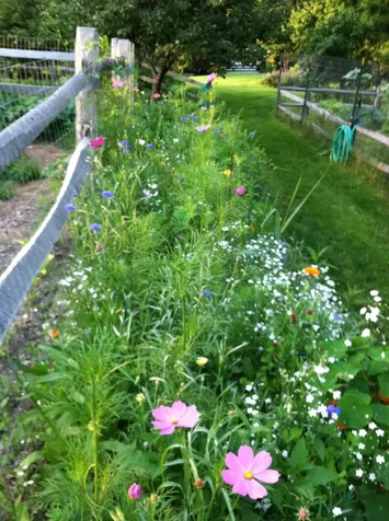 5 Saddle Run Road Hanover NH 03755