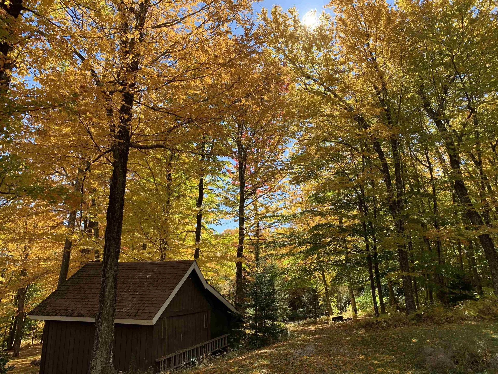 1923 North Hill Road Andover VT 05143
