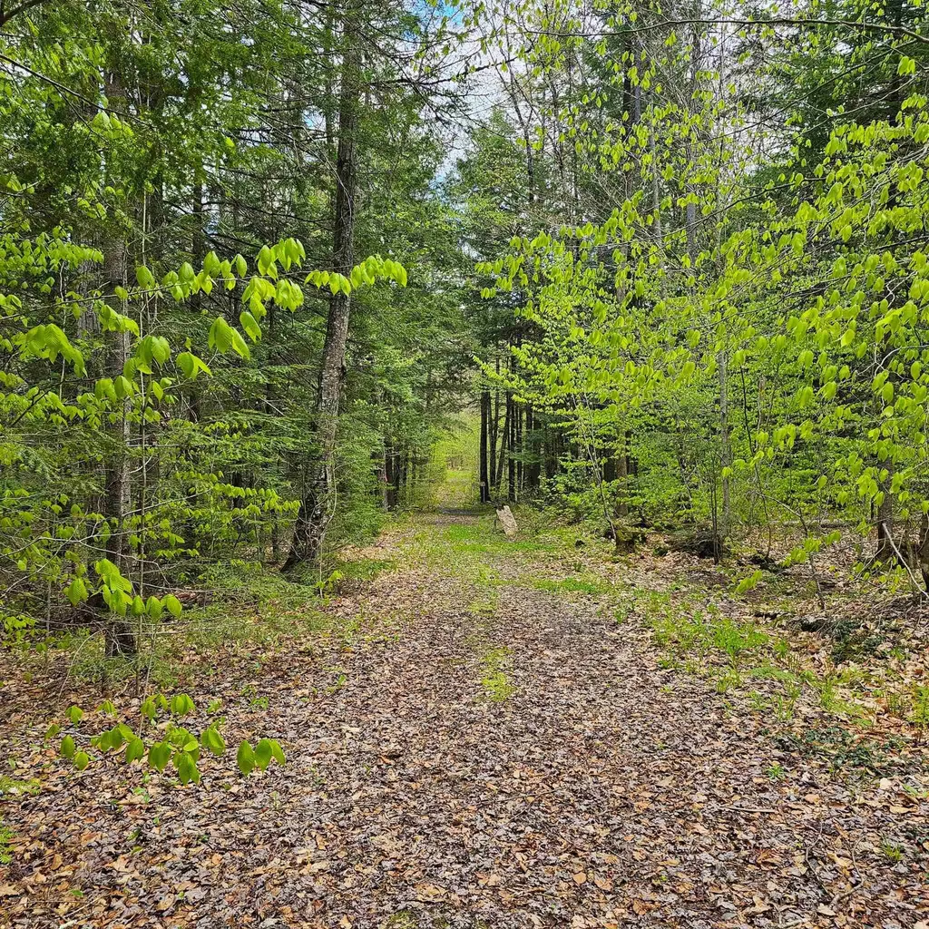 1175 Quarry Road Chester VT 05143