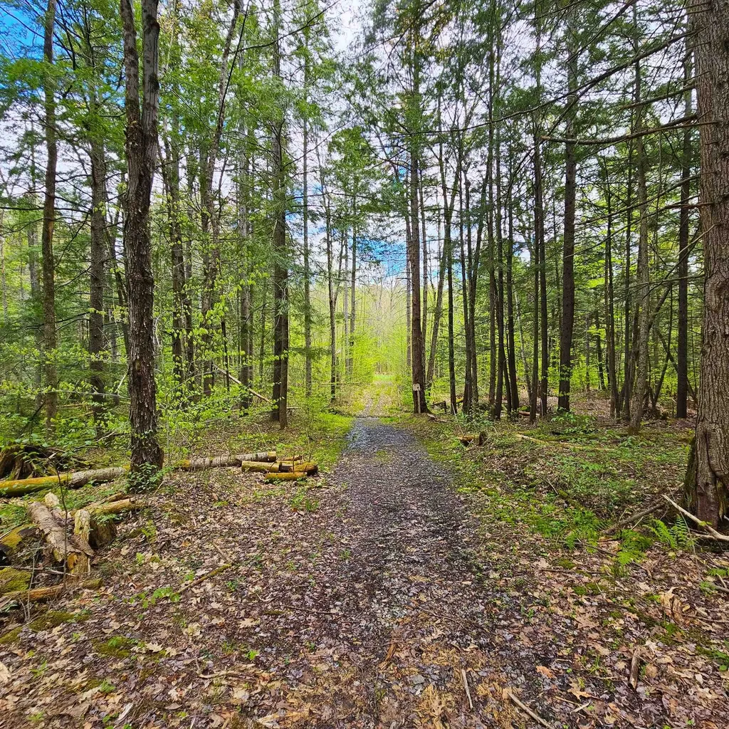 1175 Quarry Road Chester VT 05143
