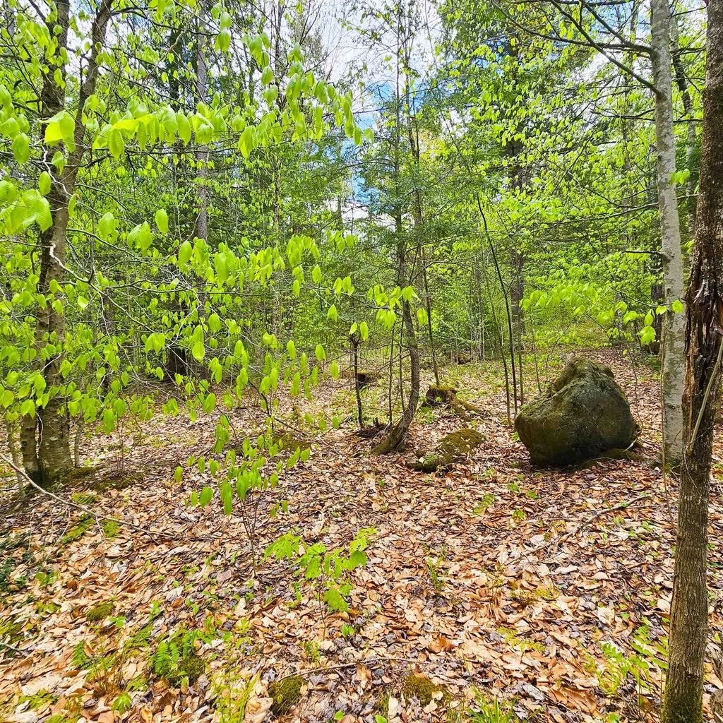 1175 Quarry Road Chester VT 05143