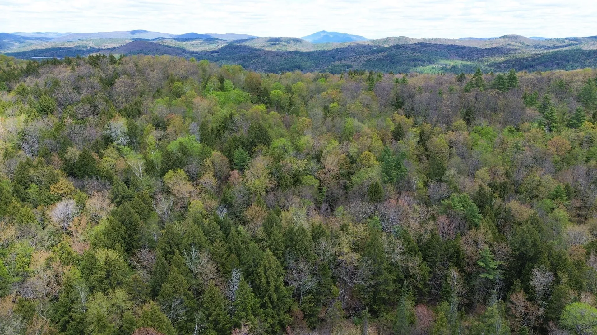 1175 Quarry Road Chester VT 05143