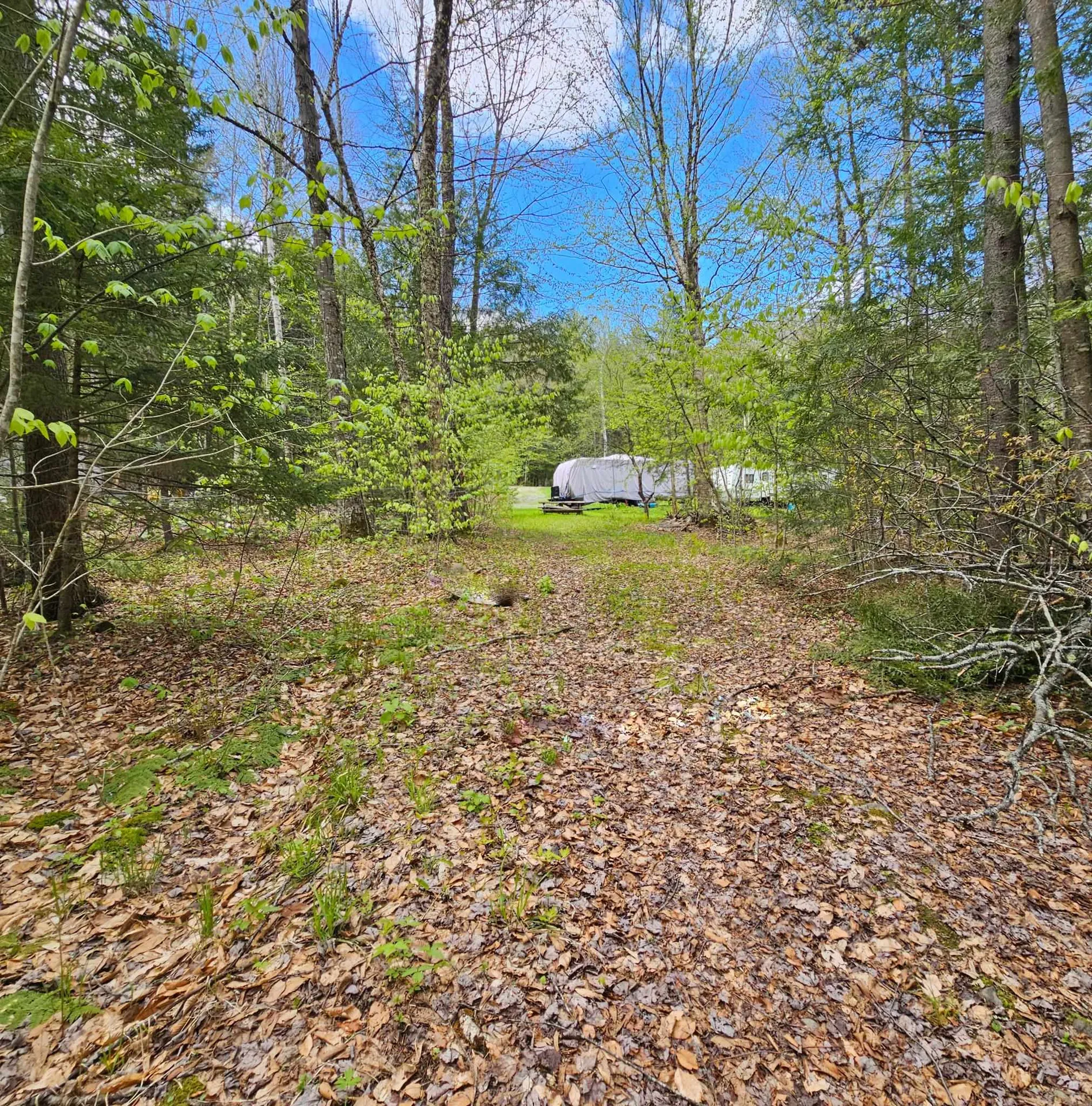 1175 Quarry Road Chester VT 05143