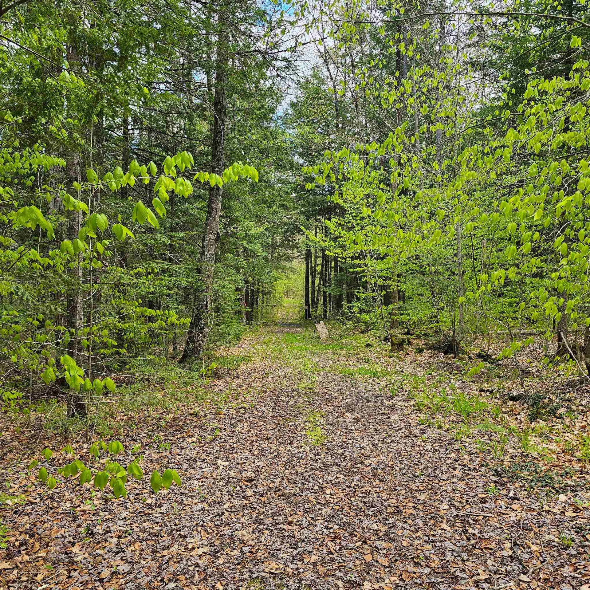 1175 Quarry Road Chester VT 05143