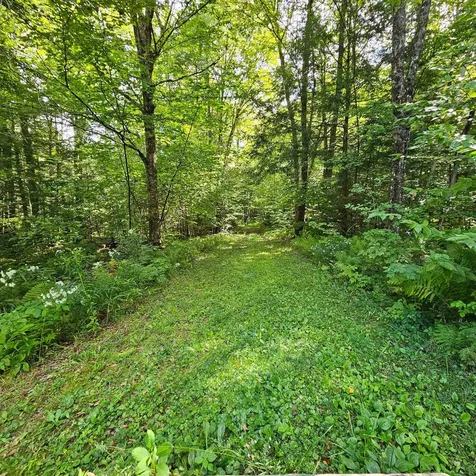 1175 Quarry Road Chester VT 05143