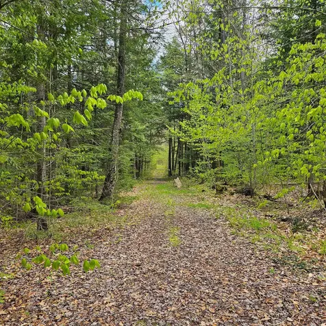 1175 Quarry Road Chester VT 05143