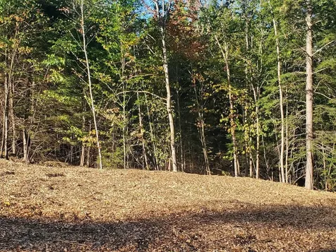 Fernwood Farms Road Canaan NH 03741