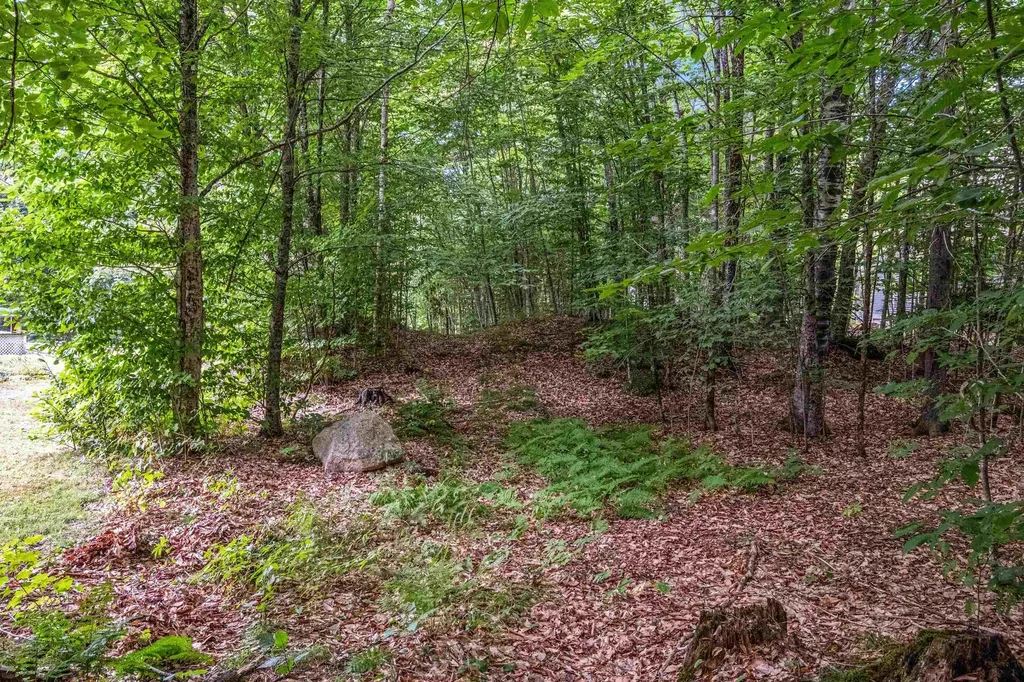 34 Foxglove Lane Franconia NH 03580