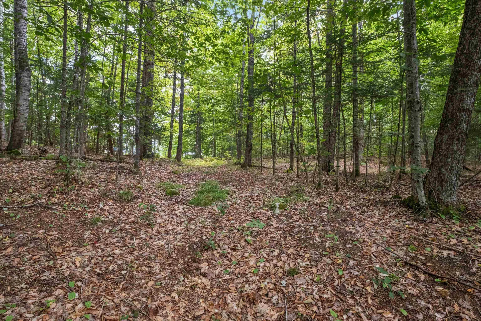 34 Foxglove Lane Franconia NH 03580