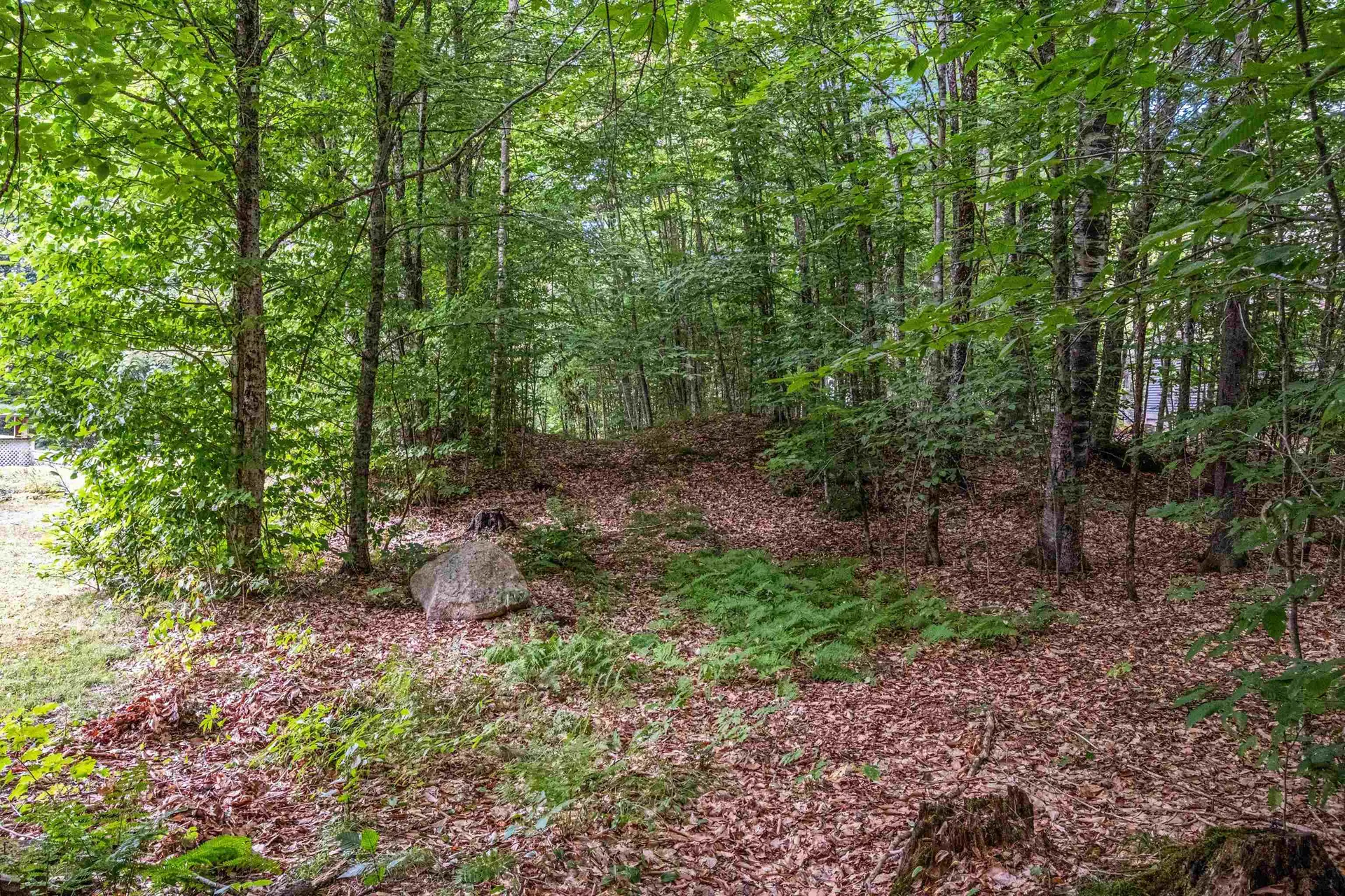 34 Foxglove Lane Franconia NH 03580