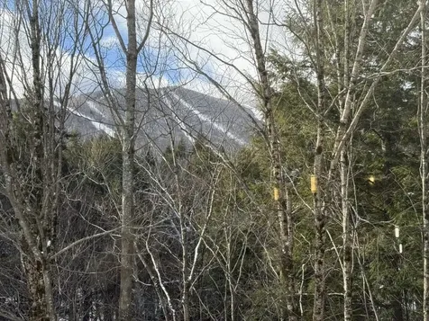 101 Bridges Circle Warren VT 05674