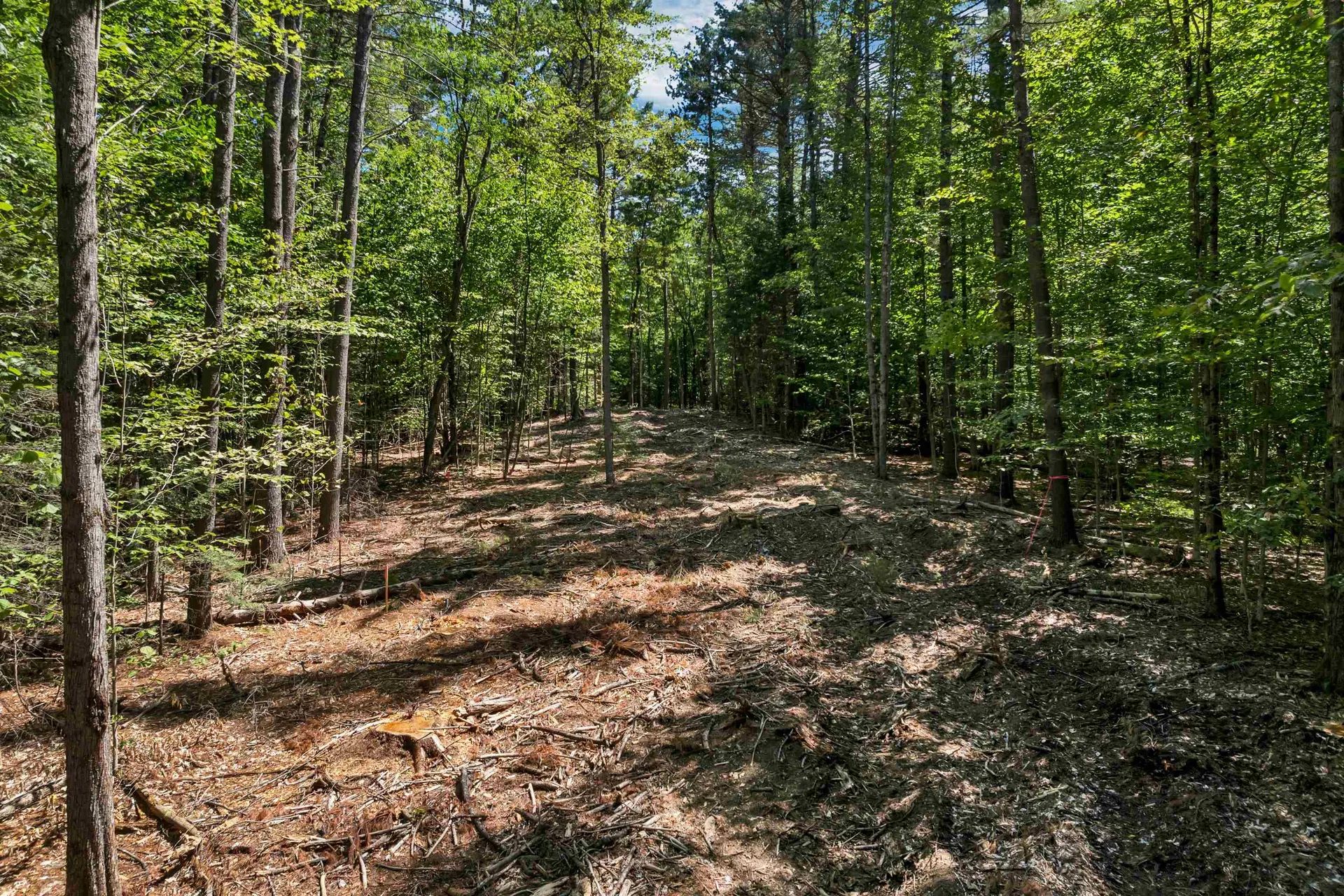 0 Route 103a Map 91 Lot 37/38 New London NH 03257