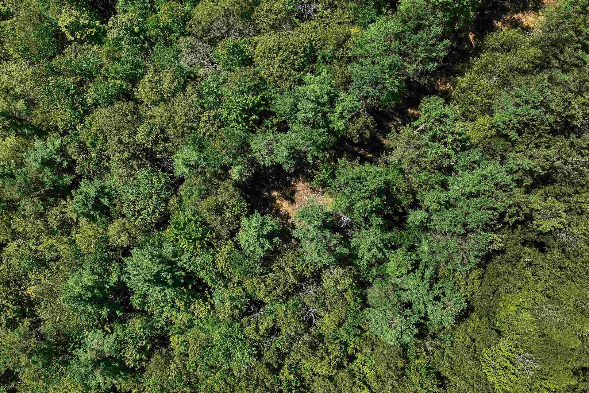 0 Route 103a Map 91 Lot 37/38 New London NH 03257