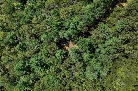 0 Route 103a Map 91 Lot 37/38 New London NH 03257